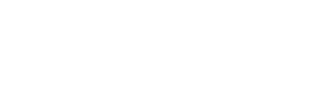 DirectElectric White Logo